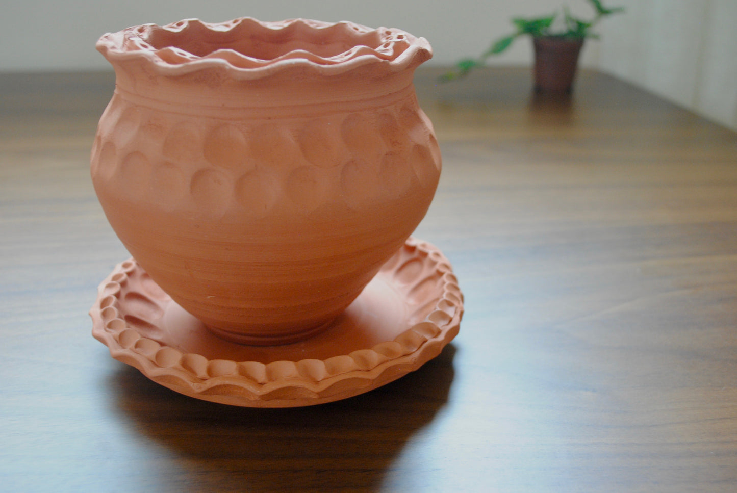 Terracotta Planter